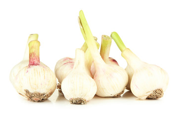 Fresh garlic, isolated on white