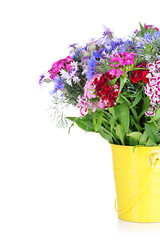 Beautiful bouquet in pail isolated on white