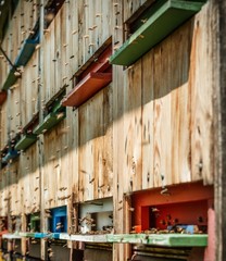 Honey bee hives