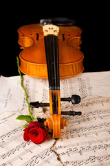 Naklejka premium Violin sheet music and rose
