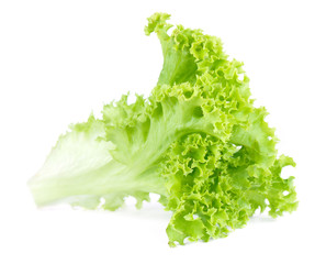 Fresh green lettuce salad isolated on white background.