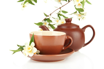 Cup of tea with jasmine, isolated on white