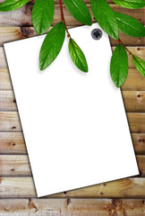 White paper on the wooden background and green leaves