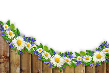 Wooden planks border with wild flowers