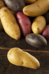 raw organic fingerling potato medley