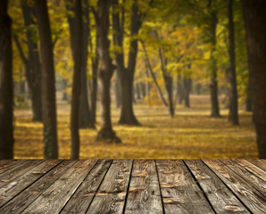 Fototapeta premium Autumn forest and wooden floor