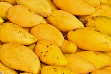 mangos