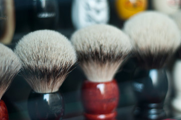 blaireaux © pixarno