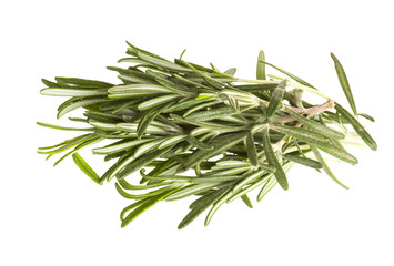 Fototapeta premium Rosemary
