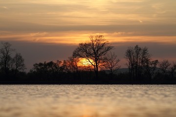 Fototapeta na wymiar Sunset and the pond with the birds