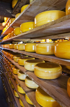 Cheese storage