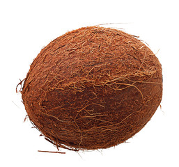 Coconut isolated on white.
