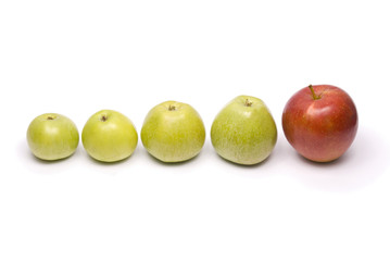 Four green apples and Red Apple isolated on white