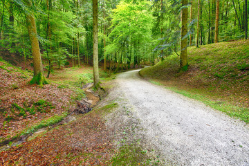 Obraz premium HDR road that takes you to eternity