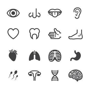 Medical Icons with White Background