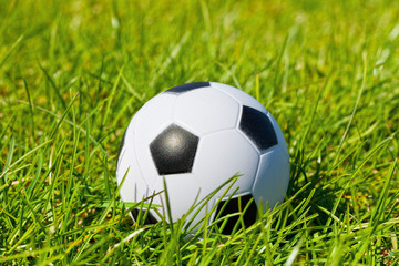 soccerball lies on a green grass