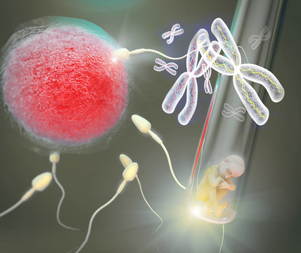 Fertilizaci&oacute;n,  clonaci&oacute;n humana,  cromosoma x