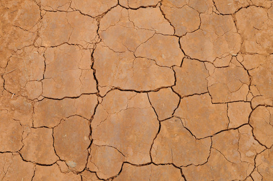 Top view shot of cracked soil
