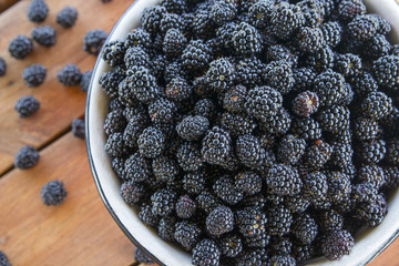 blackberries in a metal bowl