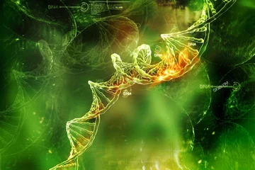 Foto op Aluminium Digital illustration of  DNA © 4designersart