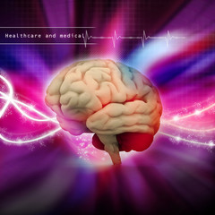 Digital illustration of human brain