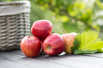 äpfel