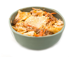 oyakudon donburi or rice meal