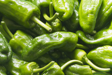 Pimientos Padr&oacute;n