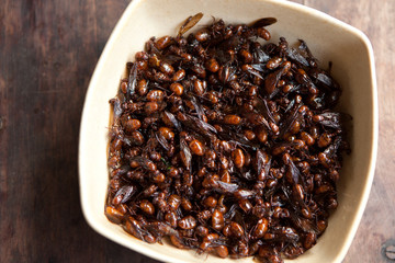 insect fried