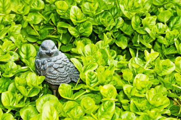 Pfennigkraut, Lysimachia nummularia, mit Vogel, Figur