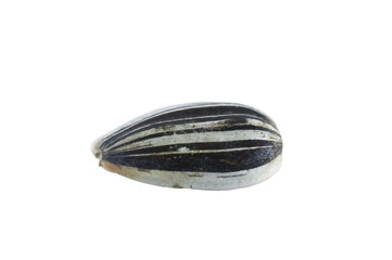 one sunflower seed