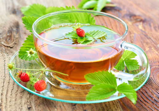 Tea (Fragaria vesca)