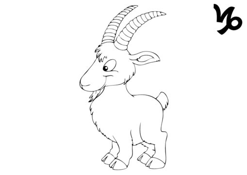 Steinbock, Capricornus, Capricorne, Capricornio, Sternzeichen