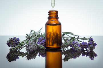Essential oil bottle with lavender flowers - 53083305