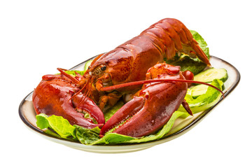 Large Lobster
