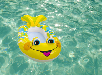 Swimming toy in a pool