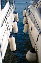 vela