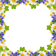 Frame of wildflowers and green leaves