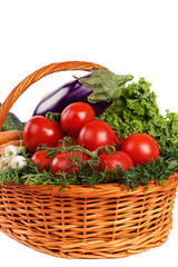Fresh vegetables in basket