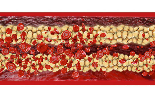 Cholesterin - 3D Render