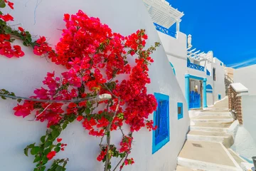 Cercles muraux Santorin Grèce île de Santorin dans les Cyclades, vue traditionnelle du w blanc