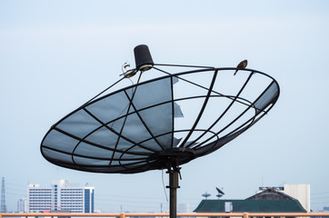 Satellite dish