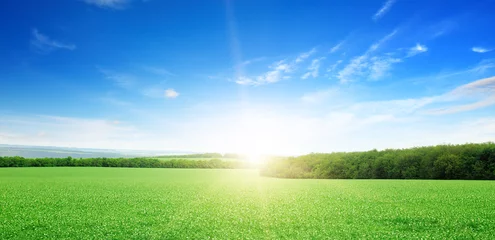 Crédence de cuisine en verre imprimé Printemps lever de soleil sur un champ vert