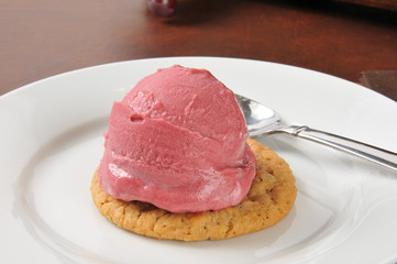 Raspberry sorbet sandwich