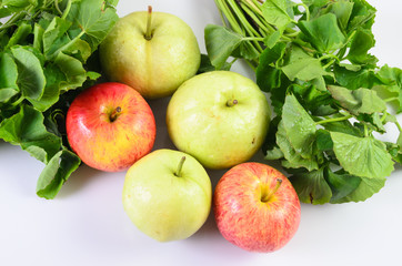 Guava and Asiatic on white background
