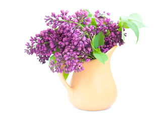 Bouquet of a lilac