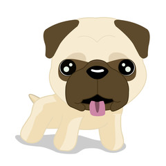 cute Pug puppy dog isolated on a white background