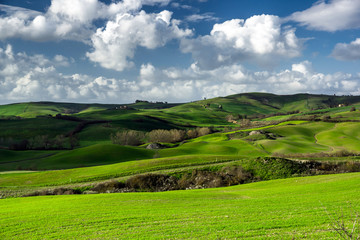 Fototapeta na wymiar Piękne zielone wzgórza w Toskanii