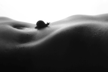 La piel