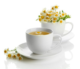Cups of herbal tea and wild camomiles, isolated on white